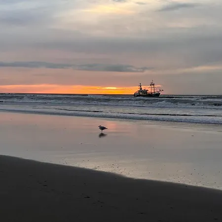 @54 * Zandvoort