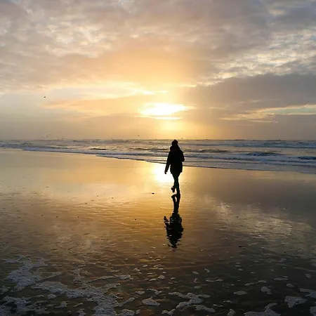 Apartment @54 Zandvoort