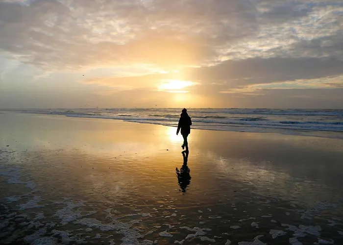 아파트 @54 잔드보르트